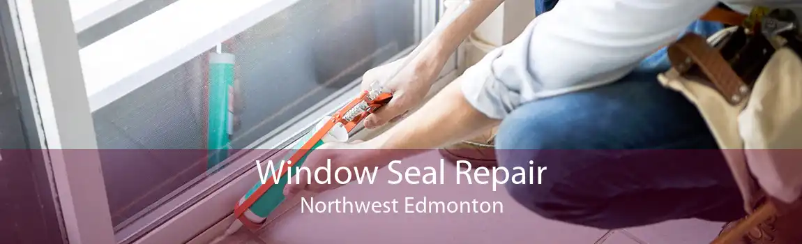 Window Seal Repair Northwest Edmonton